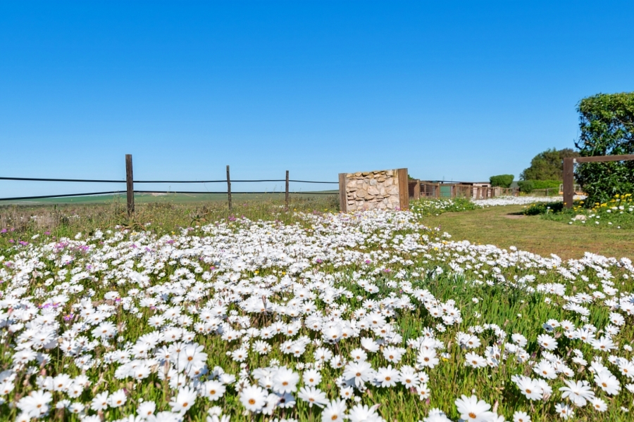 5 Bedroom Property for Sale in Trekoskraal Western Cape